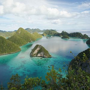 Bilder Das Korallendreieck