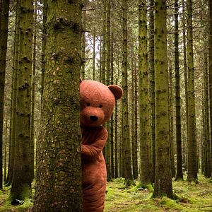 Bilder The Black Bear