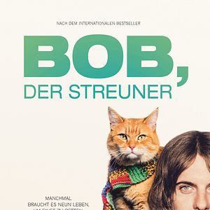 Bilder Bob, der Streuner