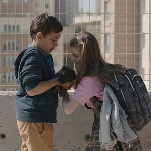 Bilder Köpek - Geschichten aus Istanbul