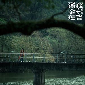 Bilder I Am Not Madame Bovary