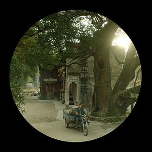 Bilder I Am Not Madame Bovary