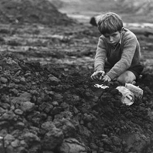 Bilder Stephen Archibald