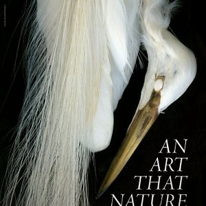 Bilder An Art That Nature Makes: The Work of Rosamond Purcell