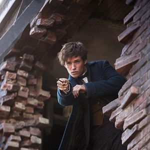 Bilder Eddie Redmayne