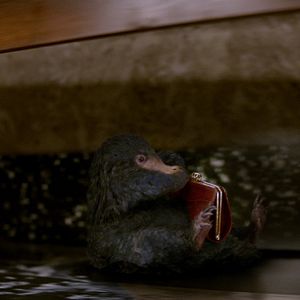 Bilder Phantastische Tierwesen und wo sie zu finden sind