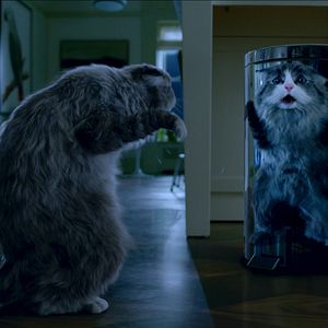 Bilder Voll verkatert