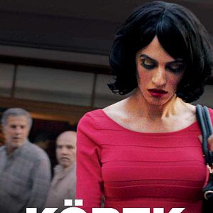 Bilder Köpek - Geschichten aus Istanbul