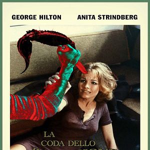 Bilder Der Schwanz des Skorpions