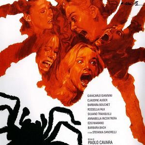 Bilder Der schwarze Leib der Tarantel