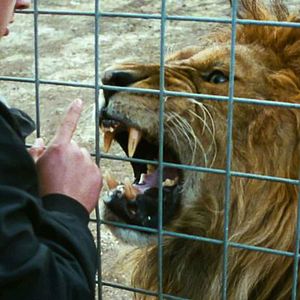 Bilder Mister Universo