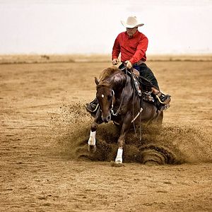Bilder Lucky - Finde dein Glück