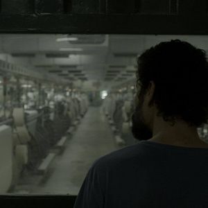 Bilder Elon Não Acredita Na Morte