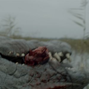 Bilder The Hatching - Die Natur beißt zurück