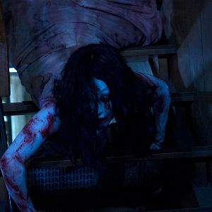 Bilder Sadako Vs. Kayako