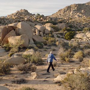 Bilder Michael M. Scott