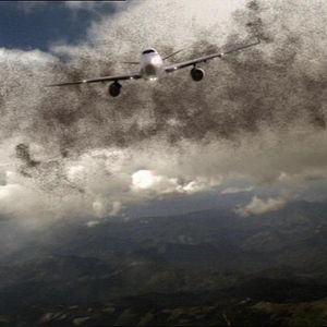 Bilder Todesschwarm - Heuschrecken greifen an