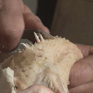 Bilder Land am Wasser