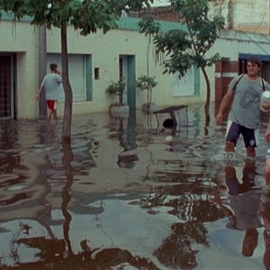 Bilder El Auge del Humano