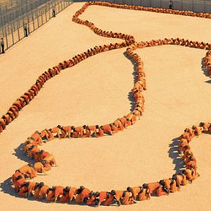 Bilder The Human Centipede 3 (Final Sequence)