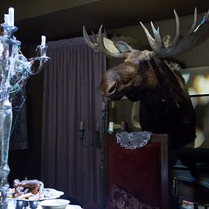 Bilder R.L. Stine - Die Nacht im Geisterhaus