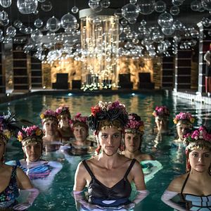 Bilder King of the Belgians