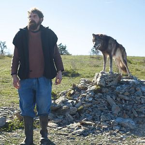 Bilder Staying Vertical