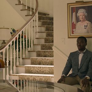 Bilder Irdens Exantus