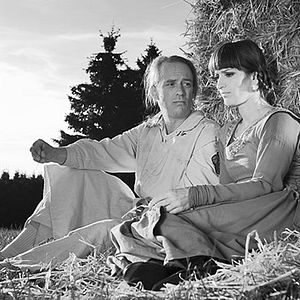 Bilder Weiße Ritter