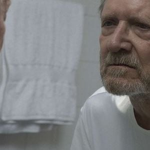 Bilder A Destruição de Bernardet