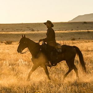 Bilder Denzel Washington