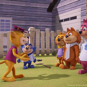 Bilder Top Cat Begins