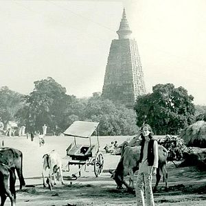 Bilder Hannah - Ein buddhistischer Weg zur Freiheit