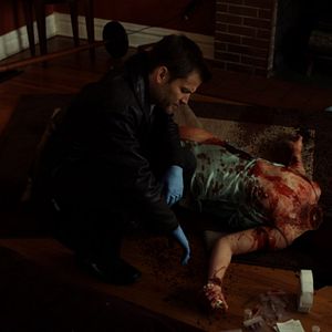 Bilder Skin Collector