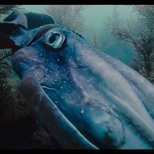 Bilder Voyage of Time: Life's Journey