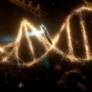 Bilder Voyage of Time: Life's Journey