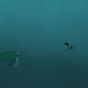 Bilder Die rote Schildkröte