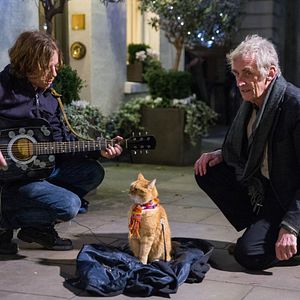 Bilder Roger Spottiswoode