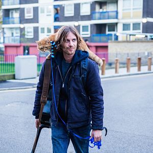 Bilder Bob, der Streuner