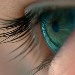 Bilder Voyage of Time: Life's Journey