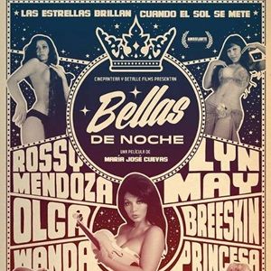 Bilder Beauties Of The Night