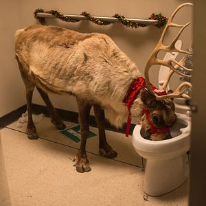 Bilder Office Christmas Party