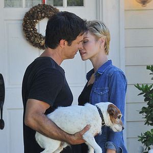 Bilder Holiday Road Trip