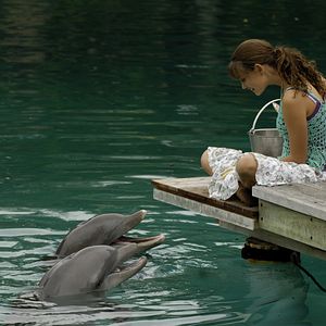 Bilder Phoebe Tonkin