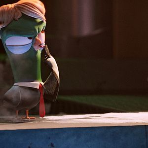 Bilder Störche - Abenteuer im Anflug