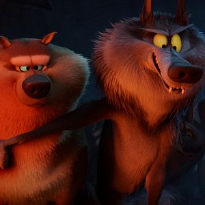 Bilder Störche - Abenteuer im Anflug