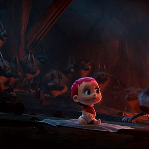 Bilder Störche - Abenteuer im Anflug