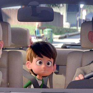 Bilder Störche - Abenteuer im Anflug