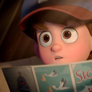 Bilder Störche - Abenteuer im Anflug