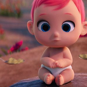 Bilder Störche - Abenteuer im Anflug